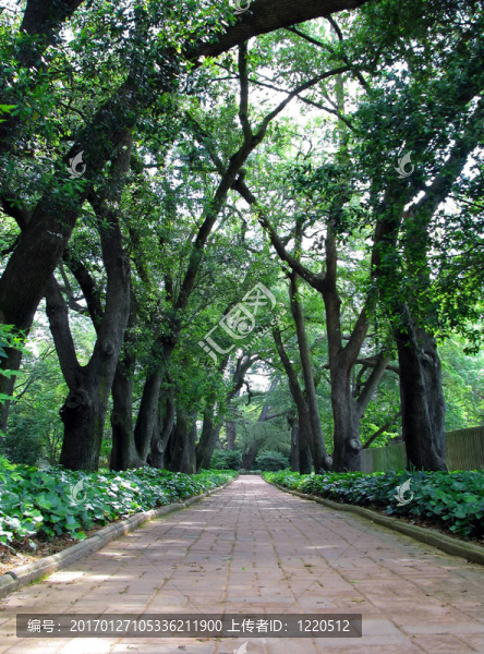 植物園