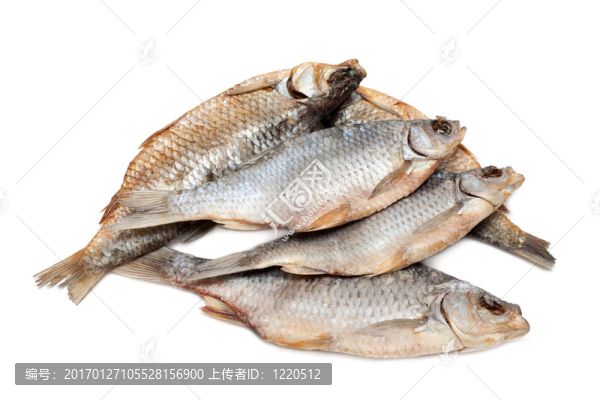 干魚；處理