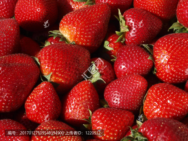 草莓-匯圖網(wǎng) www.fosd68.com 草莓