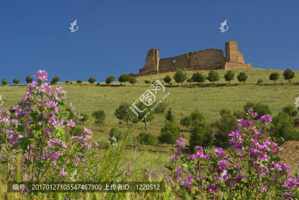 Almonacid,castillo,01