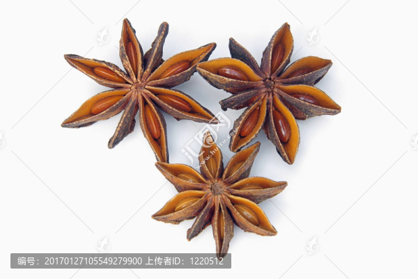 明星源自-匯圖網(wǎng) www.fosd68.com 明星源自