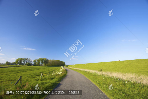 荷蘭夏天的一條空曠的鄉(xiāng)間小路