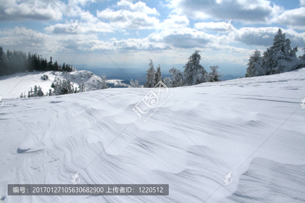 冬季景觀