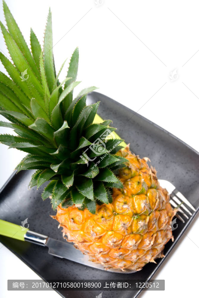 菠蘿