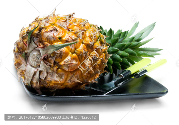 菠蘿