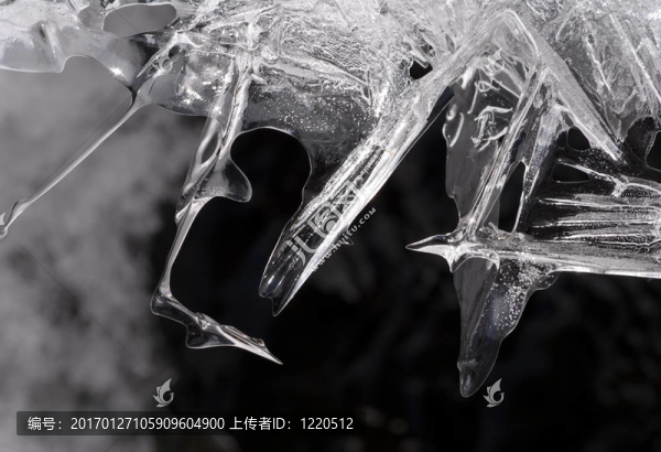 冰冷的刀鋒4-匯圖網(wǎng) www.fosd68.com 冰冷的刀鋒4