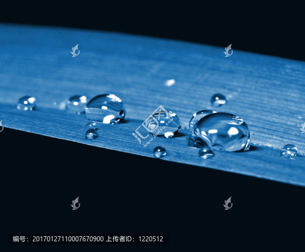 降葉