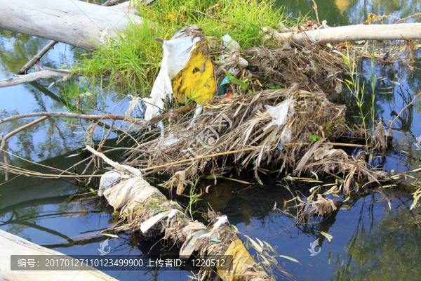 河流污染