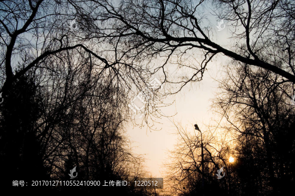 日落公園