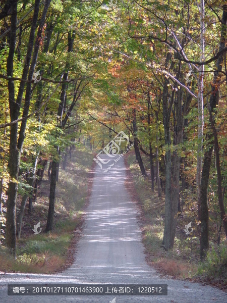 秋天的鄉(xiāng)村道路