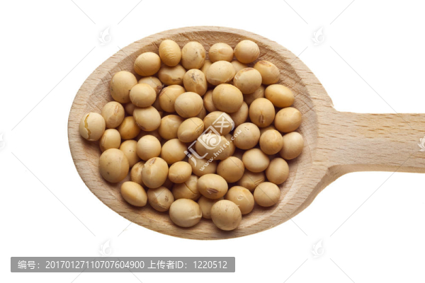 香草和香料在木制勺子-大豆