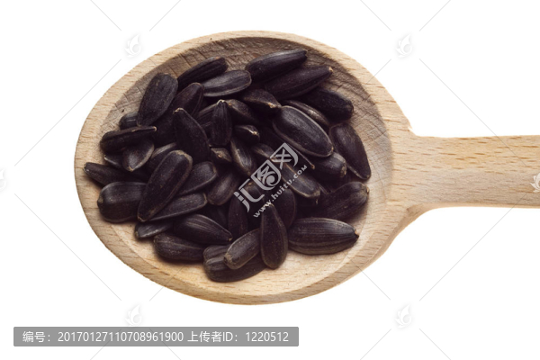 香草和香料在木制的勺子-向日葵