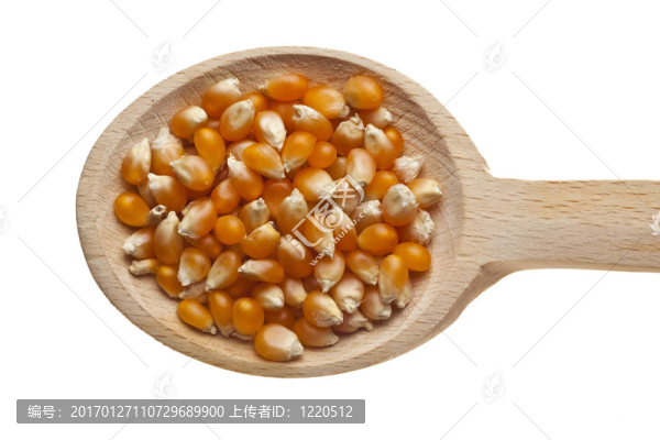 香草和香料在木制湯匙-玉米