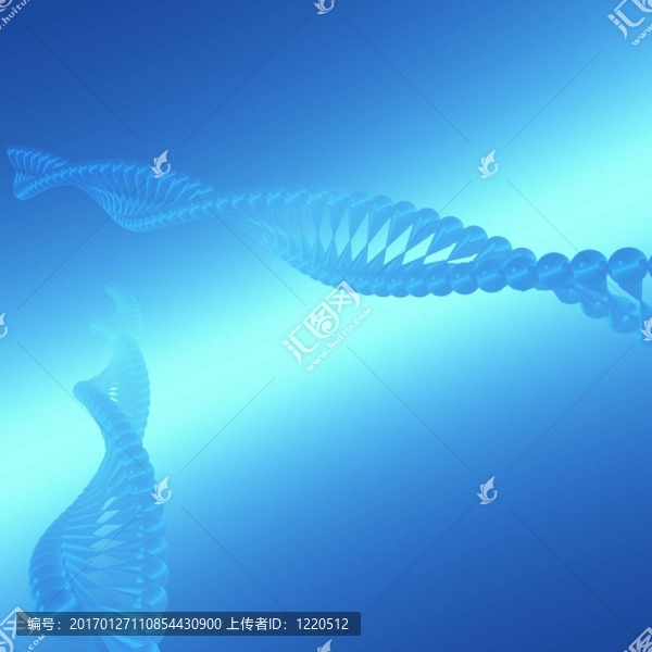 DNA,III