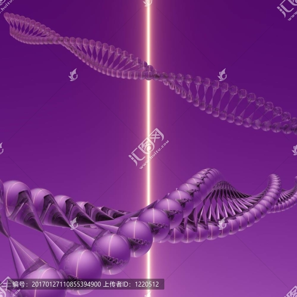 DNA,V