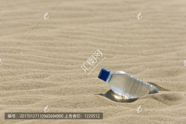 瓶中的綠洲