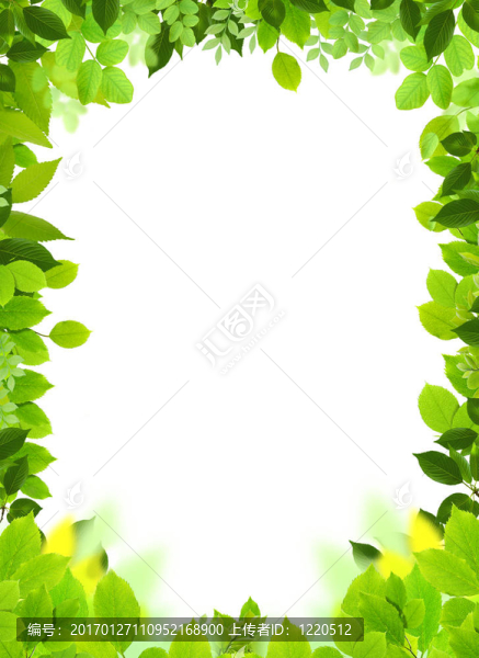 自然框架和模板