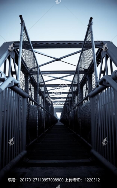 橋