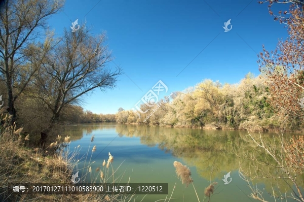 Pisuerga河