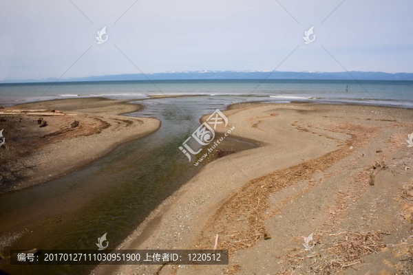 在普吉特海灣河口