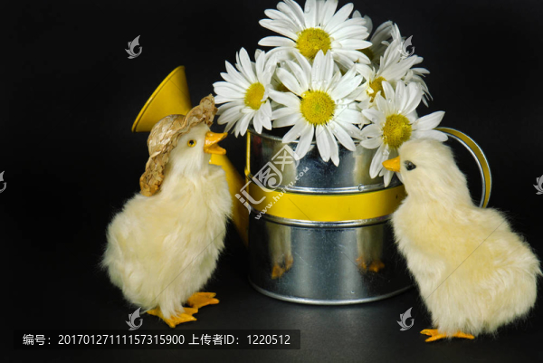小小鴨