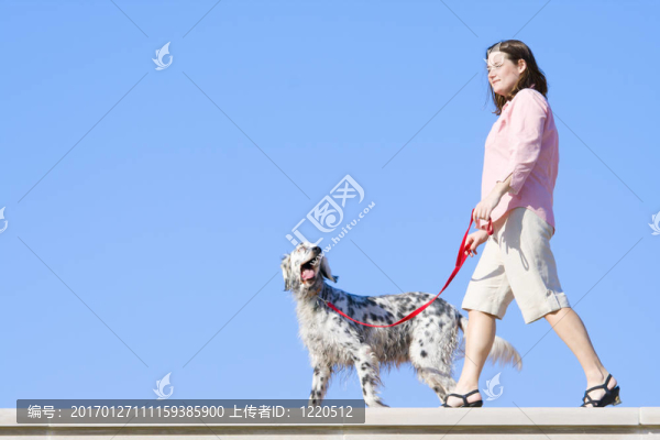 和狗的女孩