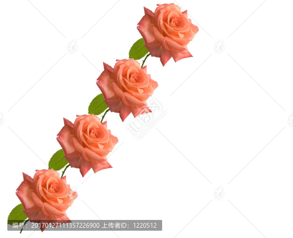 母親節(jié)玫瑰花卡背景