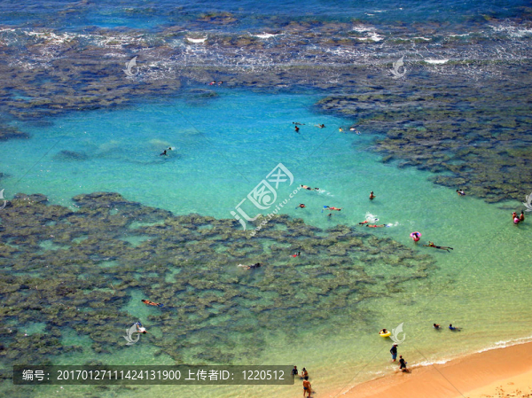 浮潛和家庭游泳周圍的珊瑚海灣；瓦胡島；夏威夷