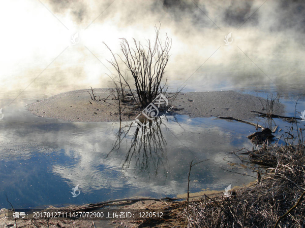 在庫伊勞公園地?zé)峄顒?dòng)；羅托魯阿；新西蘭