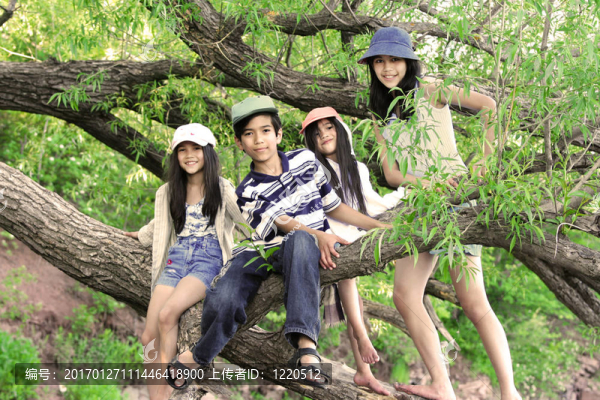 孩子們在樹上爬