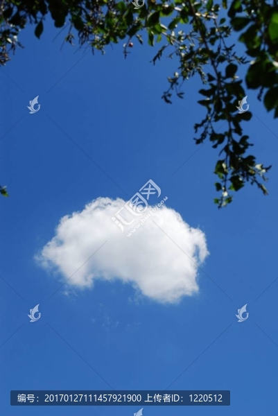 天空中的單云