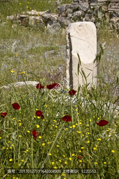 孤獨(dú)的石頭-匯圖網(wǎng) www.fosd68.com 孤獨(dú)的石頭