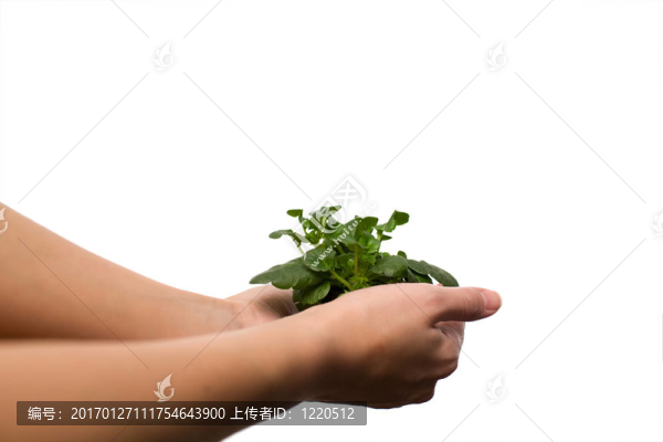 保健與自然