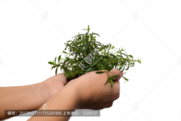 保健與自然