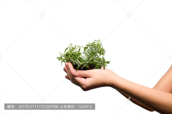 保健與自然