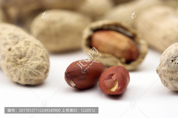 花生收起來
