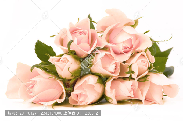 一束花