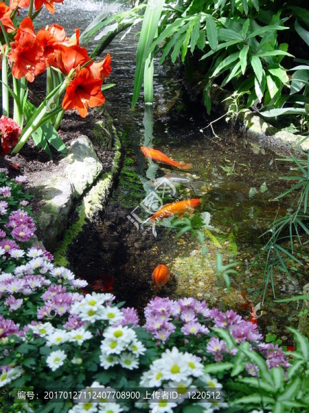魚(yú)在水里