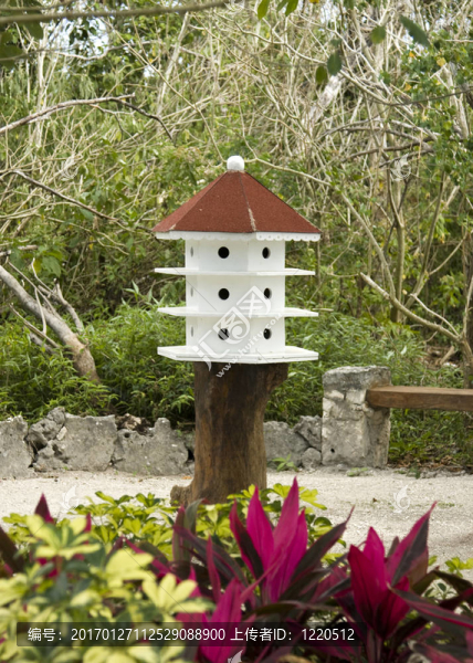 木白鳥舍