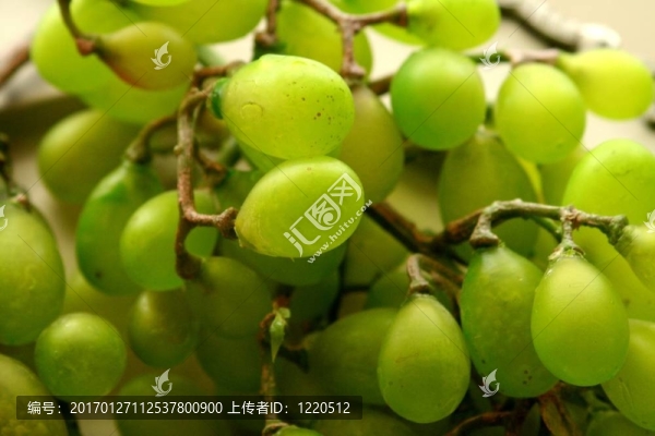 詳細(xì)的葡萄