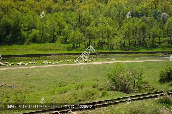 羅馬尼亞農(nóng)村