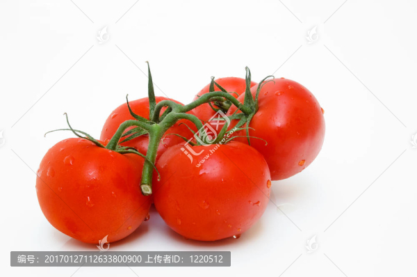 西紅柿