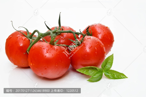 西紅柿