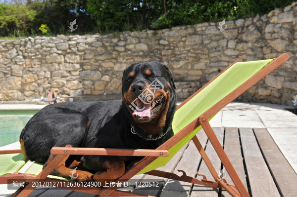 在大西洋羅威-匯圖網(wǎng) www.fosd68.com 在大西洋羅威