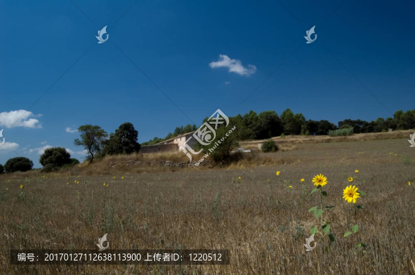 鄉(xiāng)村景觀