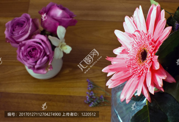 ASTER和玫瑰