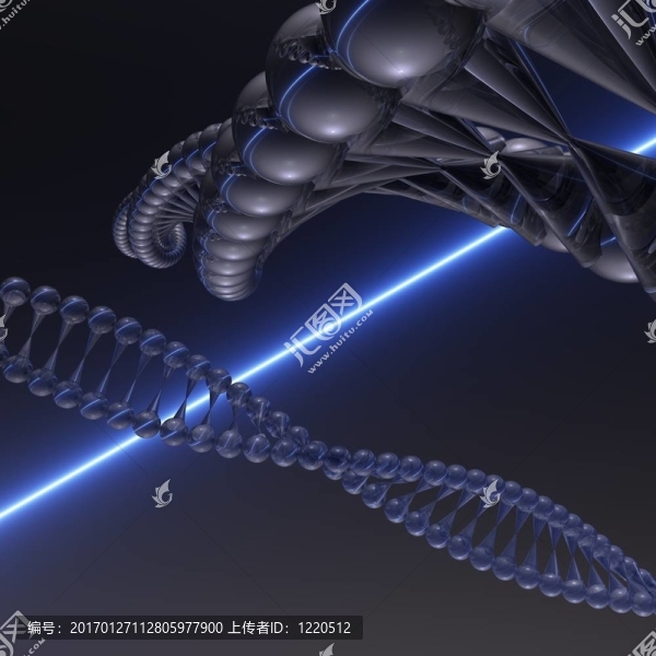 DNA