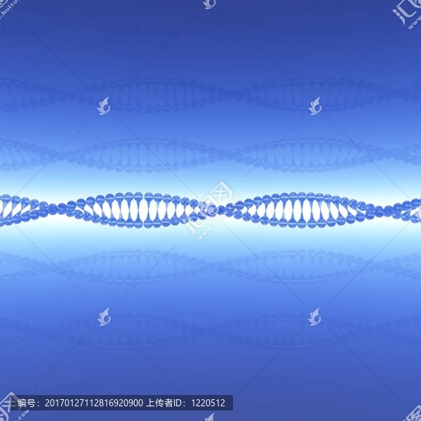 DNA