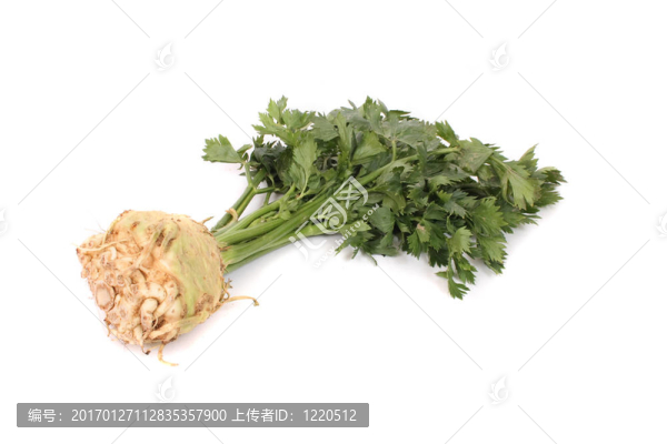 芹菜