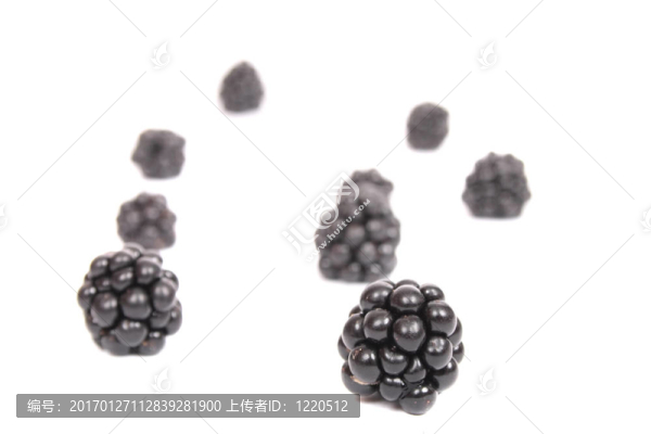 黑莓-匯圖網(wǎng) www.fosd68.com 黑莓